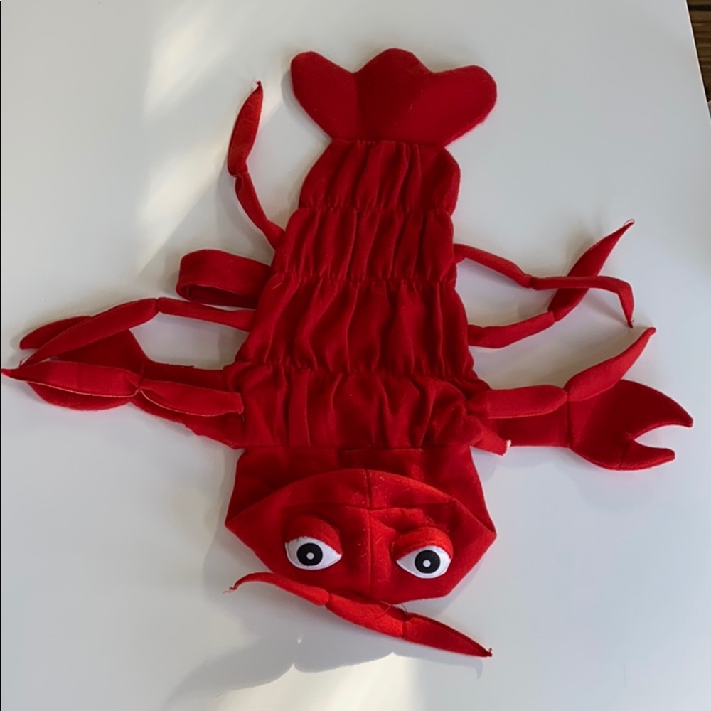 Dog lobster costume.